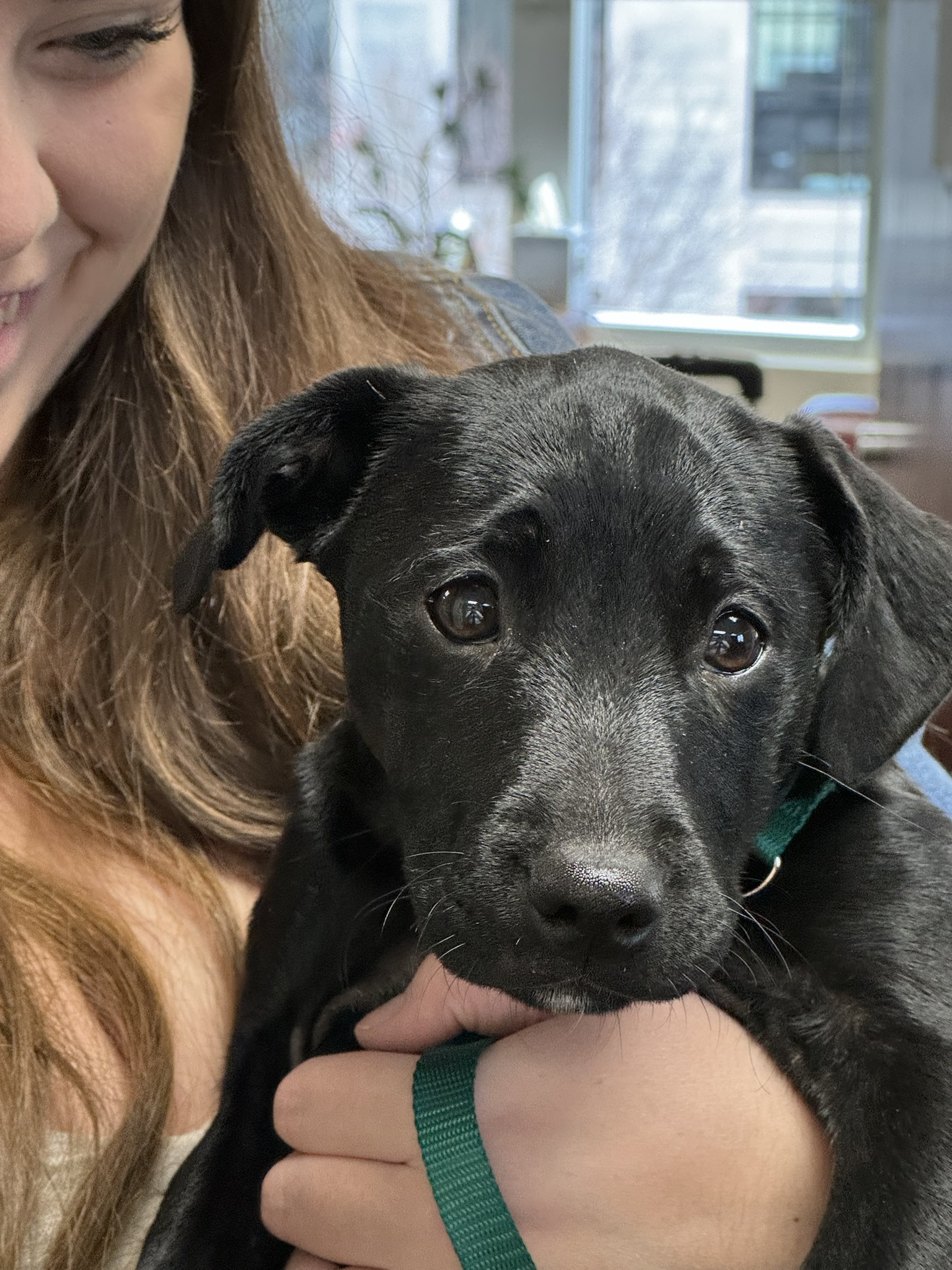 We discovered an adorable lost puppy, and the Ducati took us on an unforgettable ride!