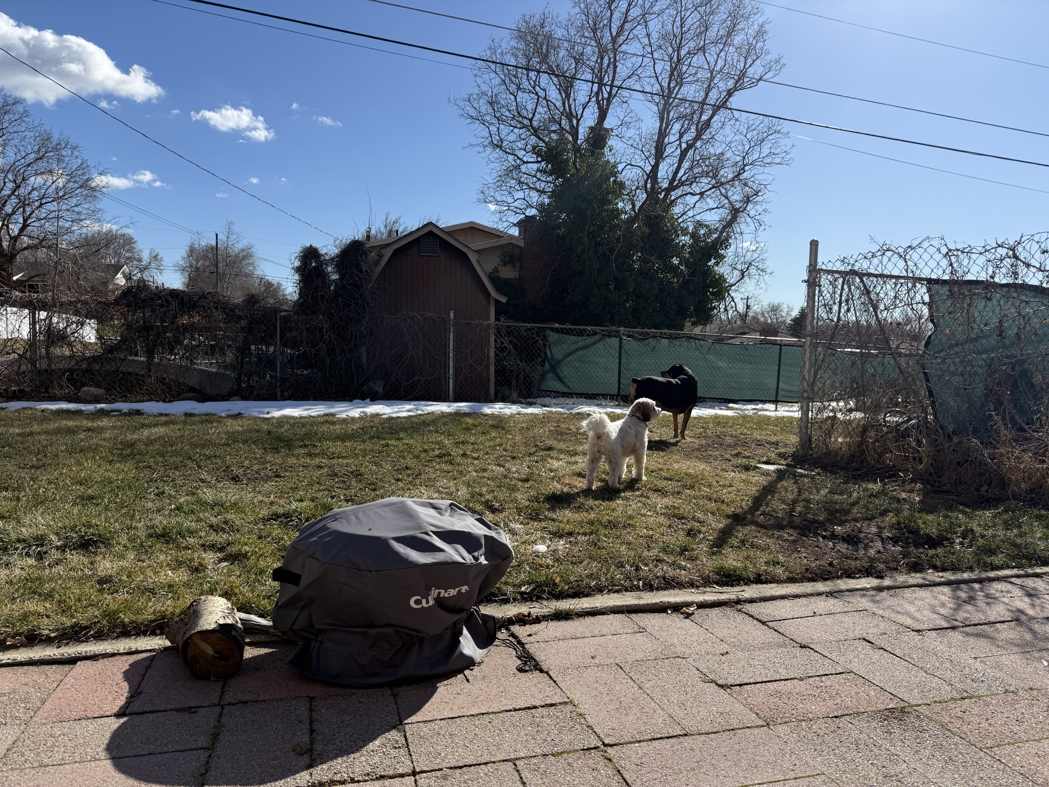 A Surprisingly Warm 65°F in February in Northern Utah