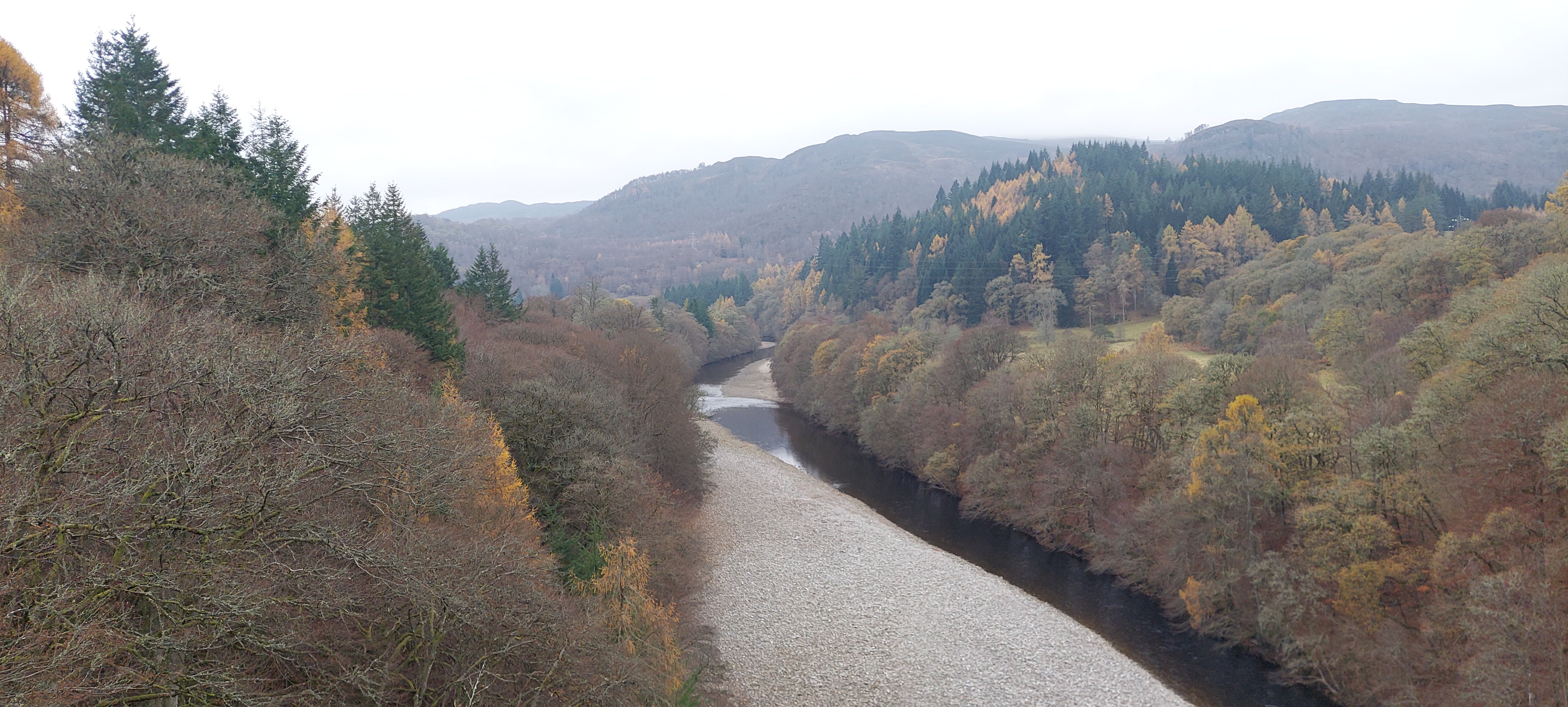 Taking the Plunge for a Cause: The Venture Scotland Fundraising Bungie Jump