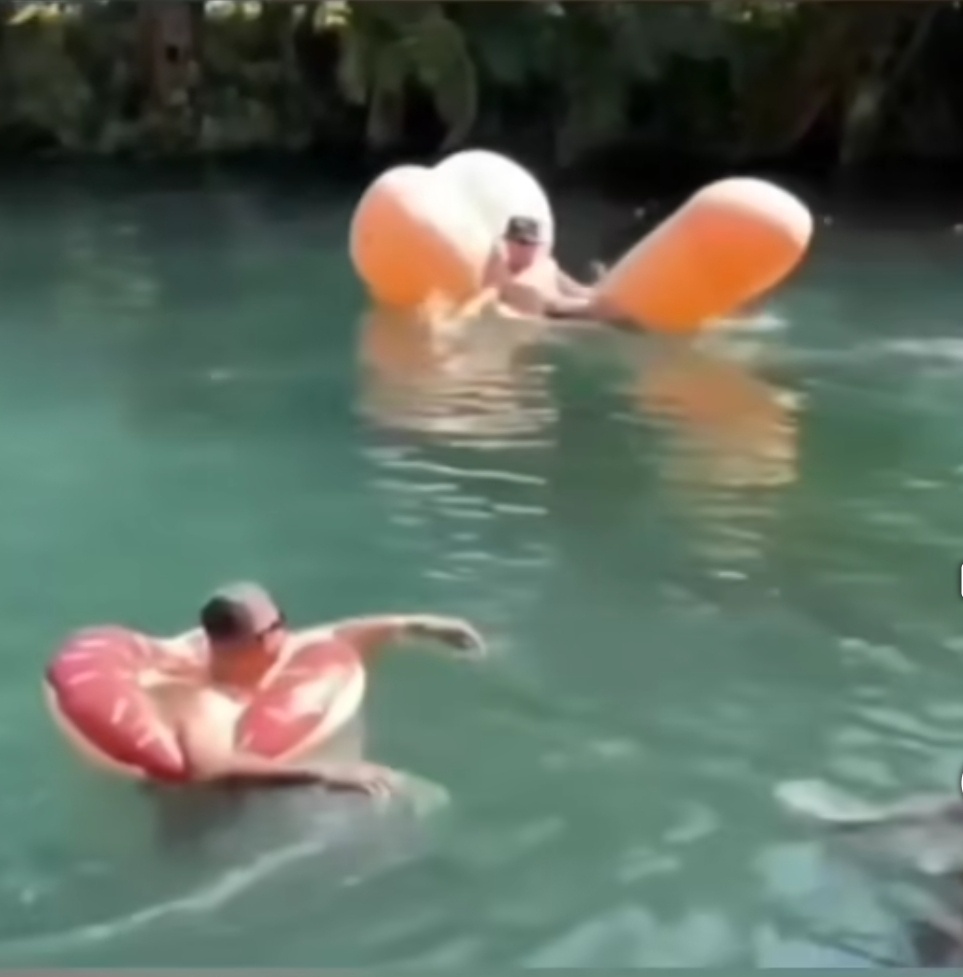 When Your Amazon Order Takes a Wrong Turn