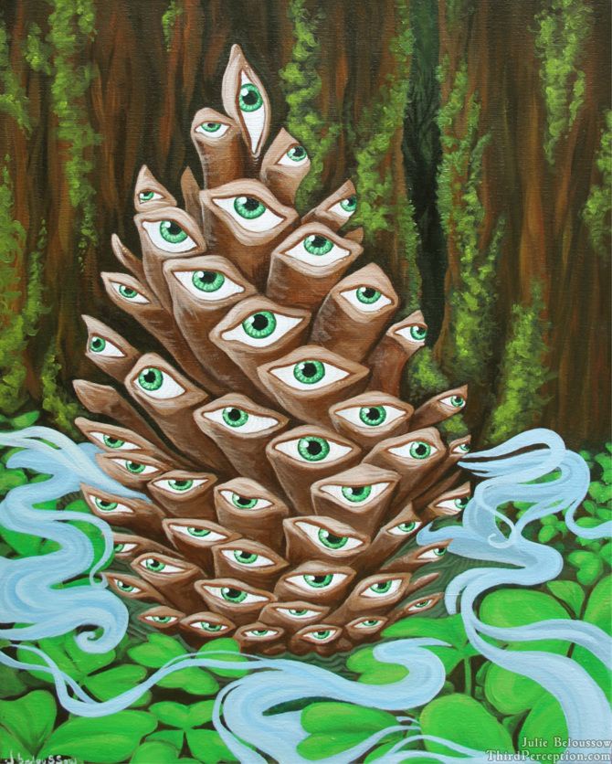 Just a Pinecone Hanging Out