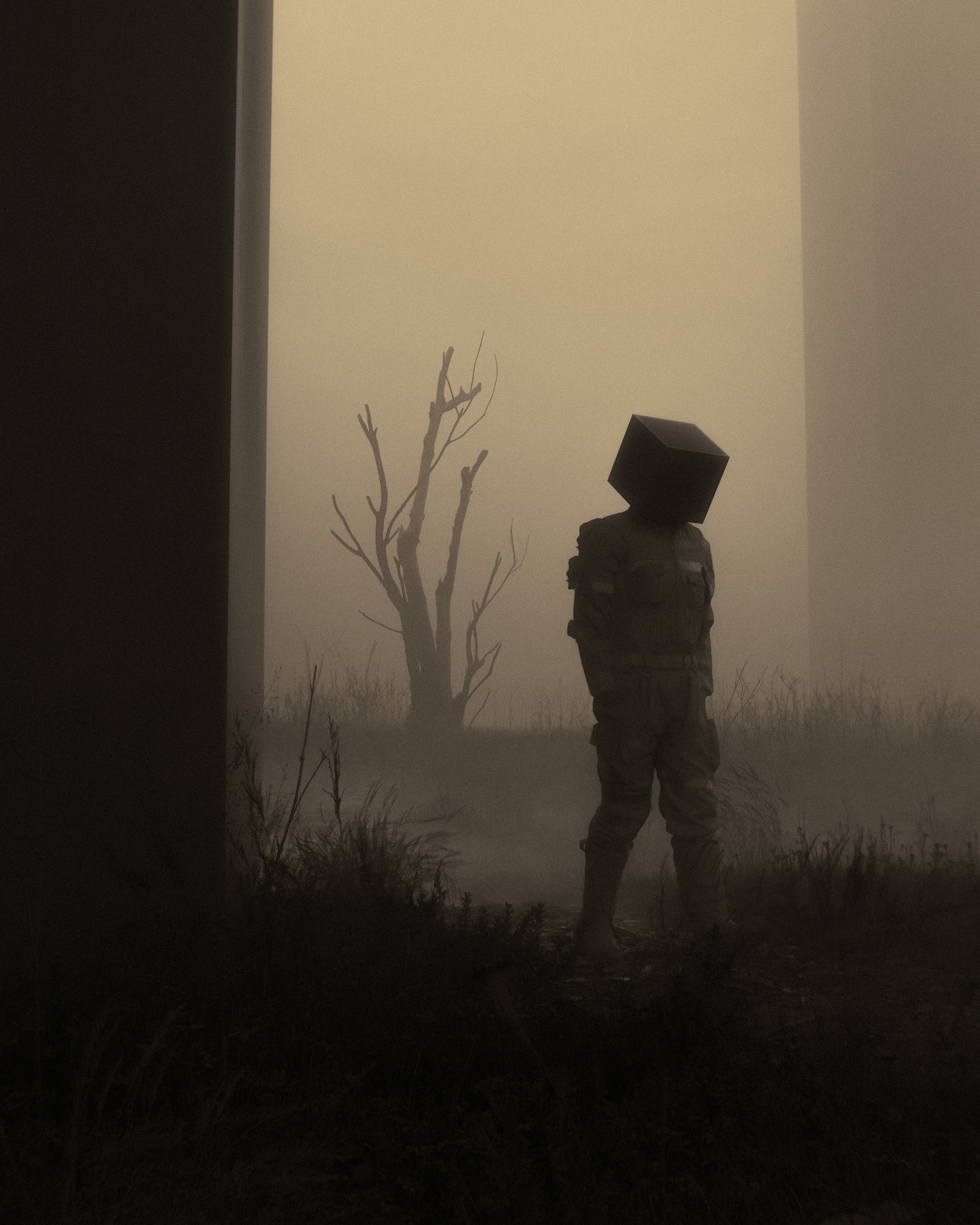 Veil of the Unknown: A Masterpiece by Huleeb