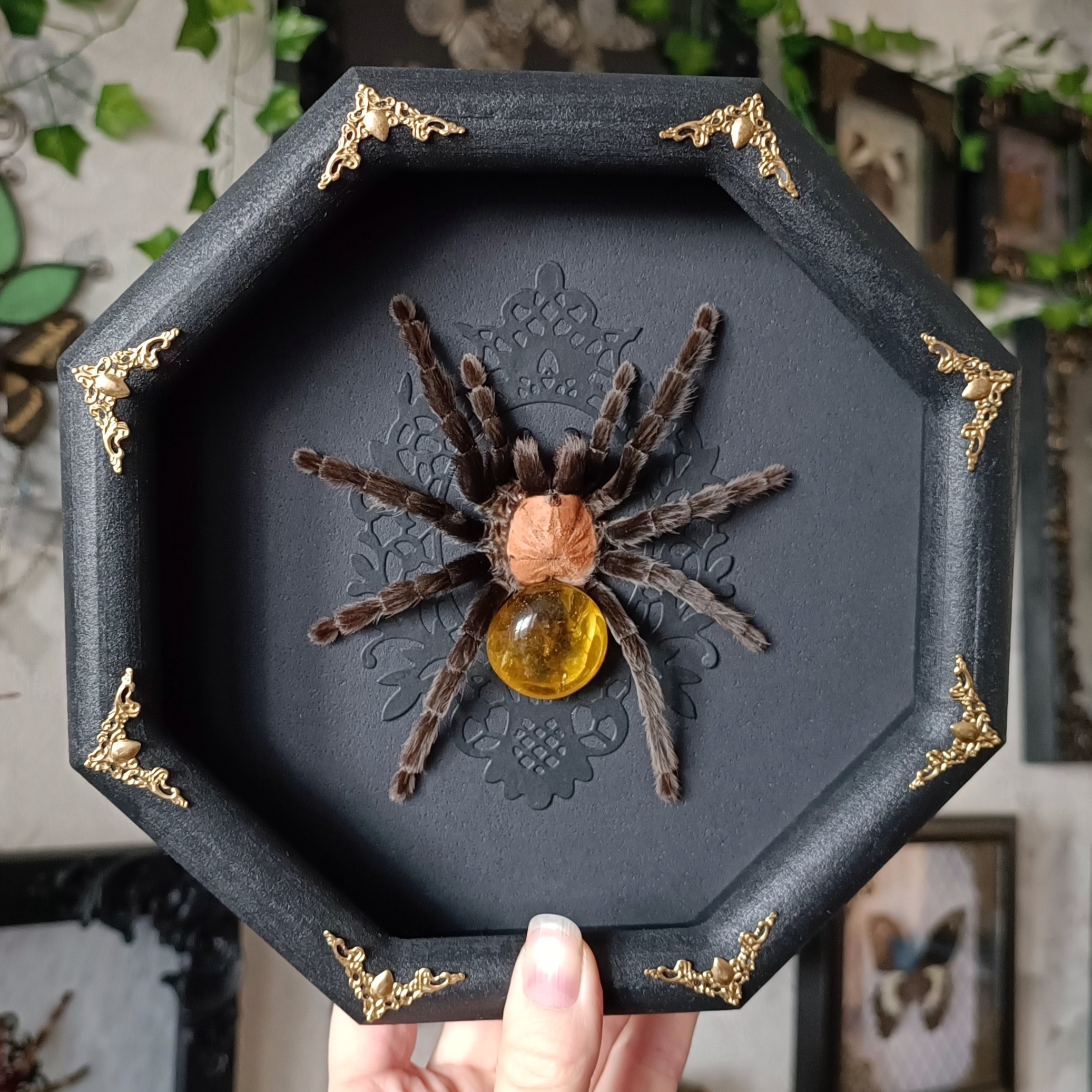Just Finished Designing New Tarantulas: Which One's Your Favorite? 1-5