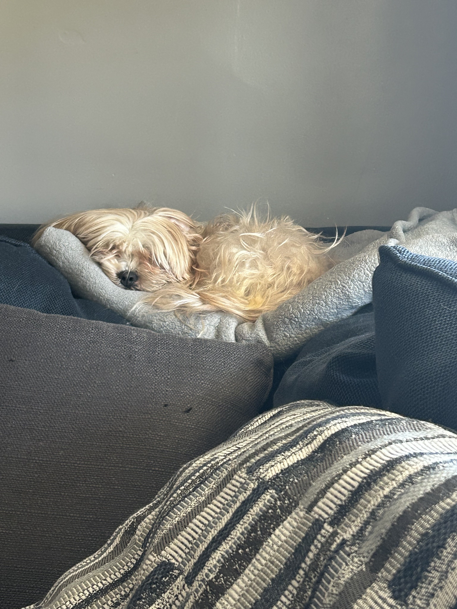 The Mop is Taking a Well-Deserved Nap