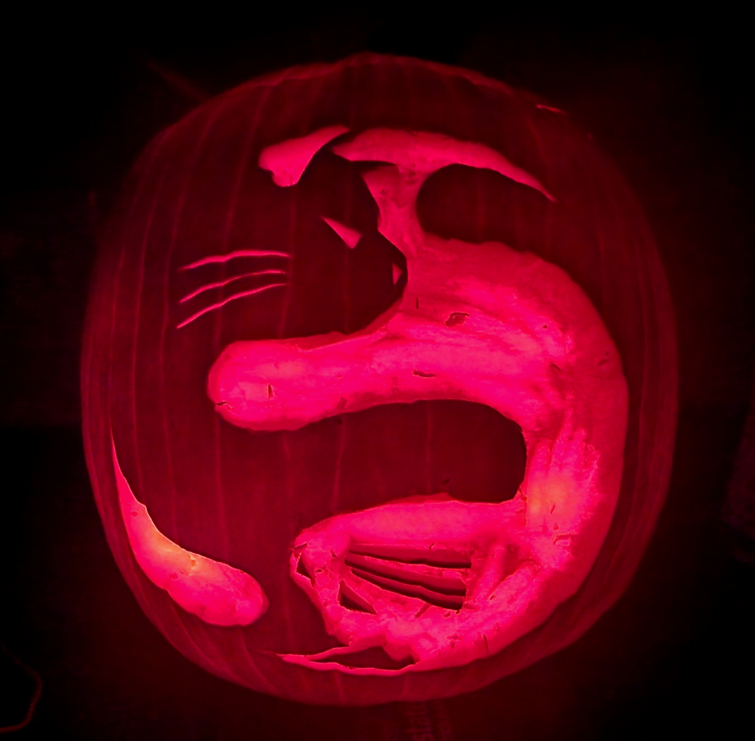 Pumpkin Season 2024: A Cheerful Preview