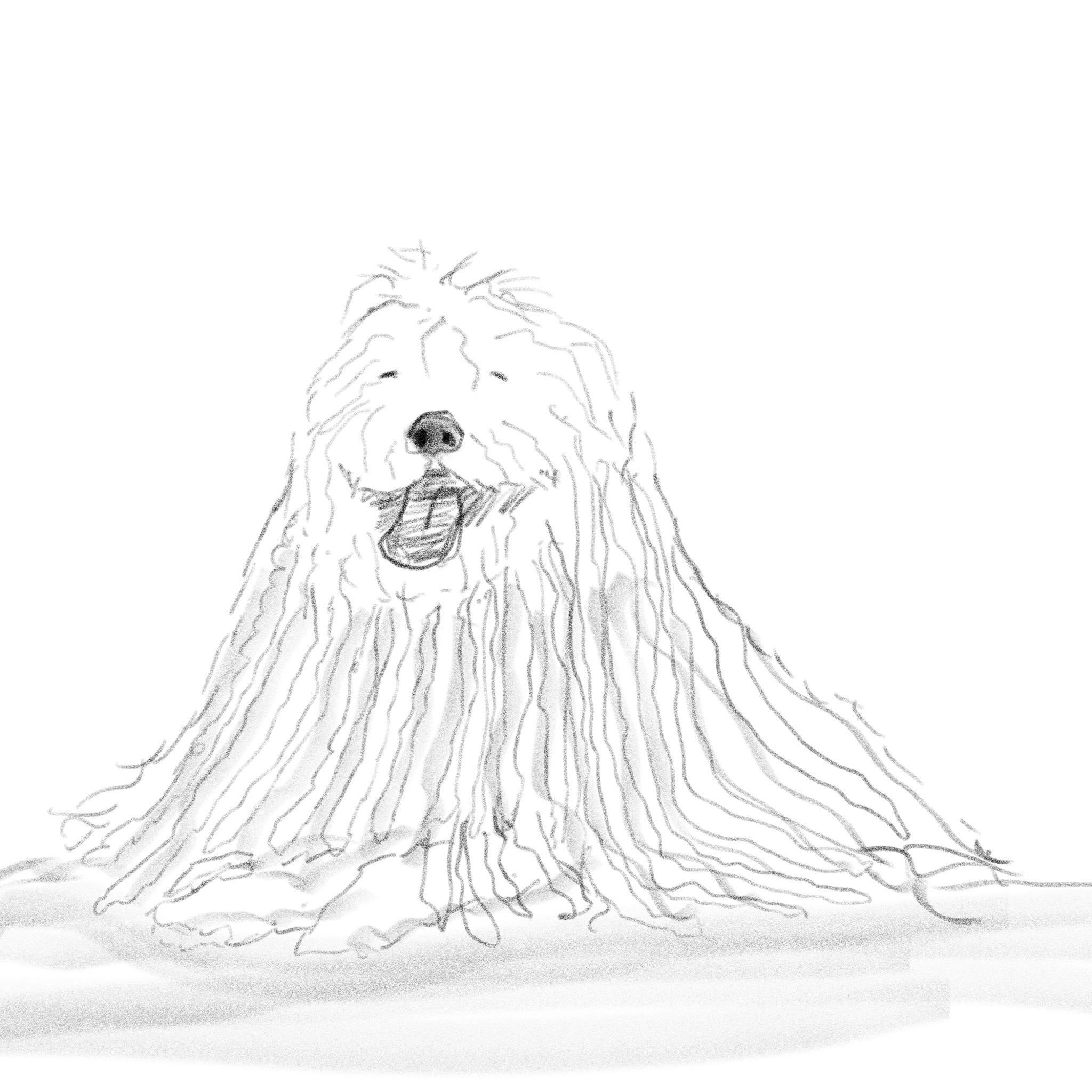 Meet the Komondor: The Fluffy Guardian