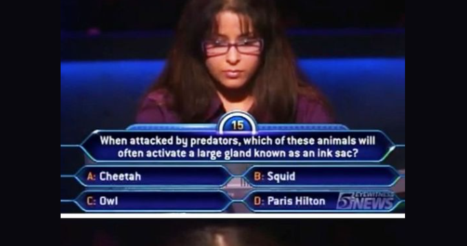 A 50/50 Chance Here Would Be a Complete Waste