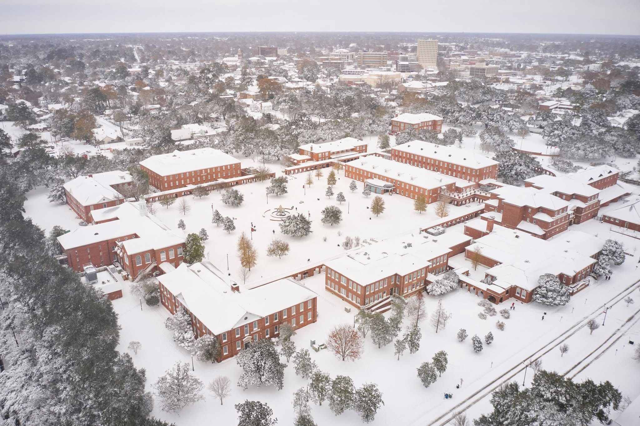 Celebrating Sneaux Day: A Winter Wonderland