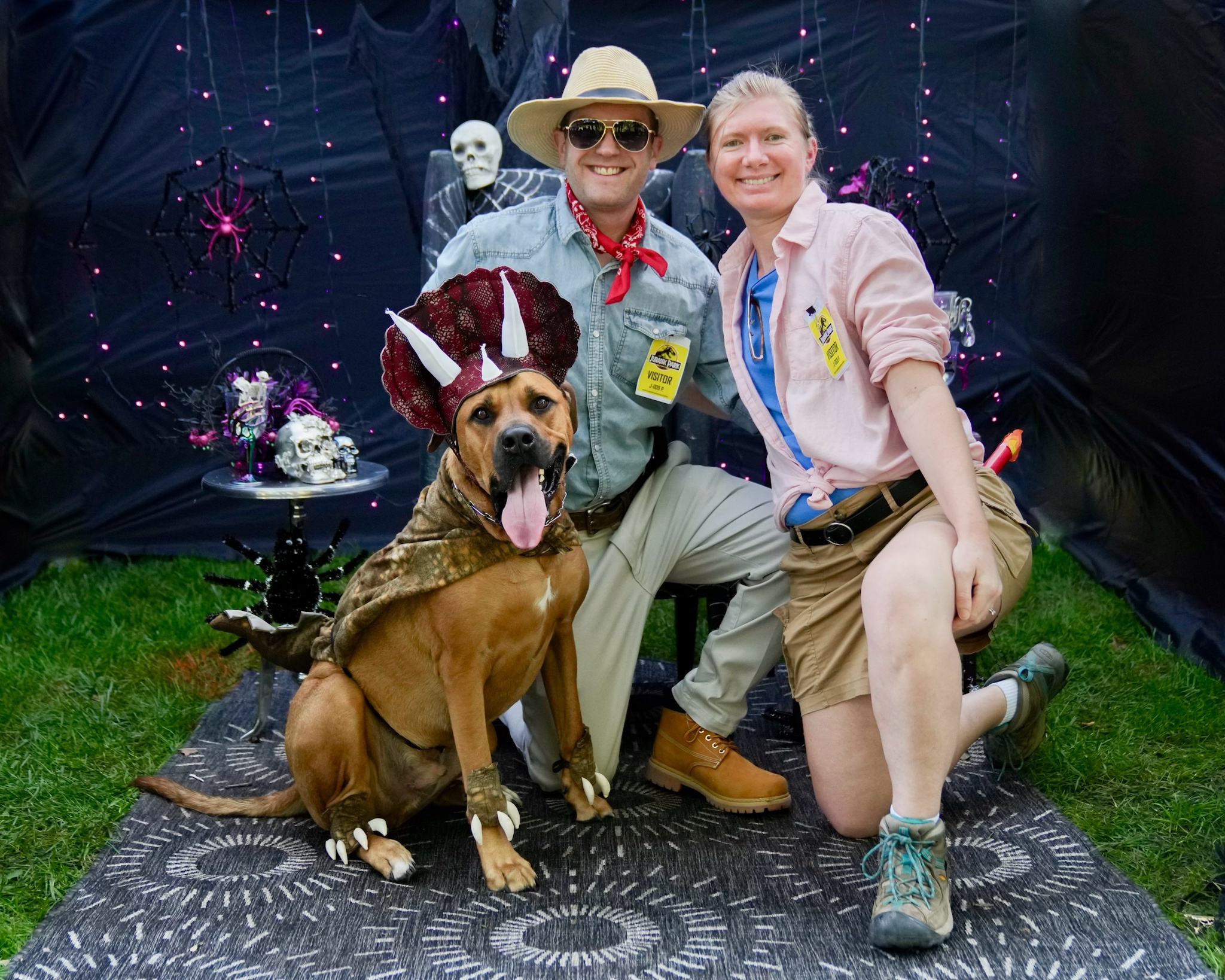 Jurassic Bark: A Prehistoric Pup Adventure