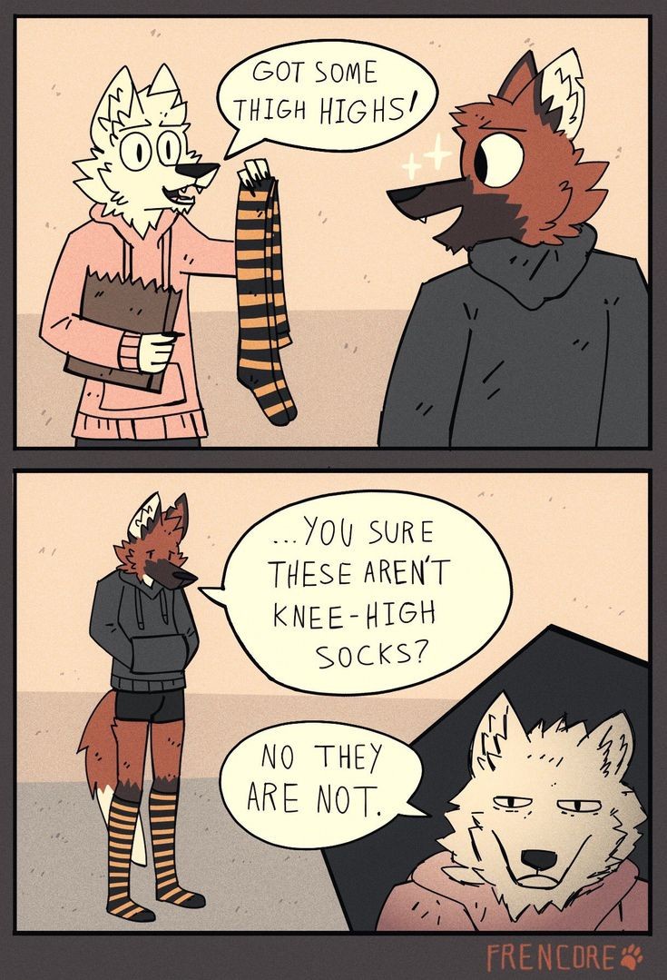 Struggles of a Maned Wolf: A Day in the Life