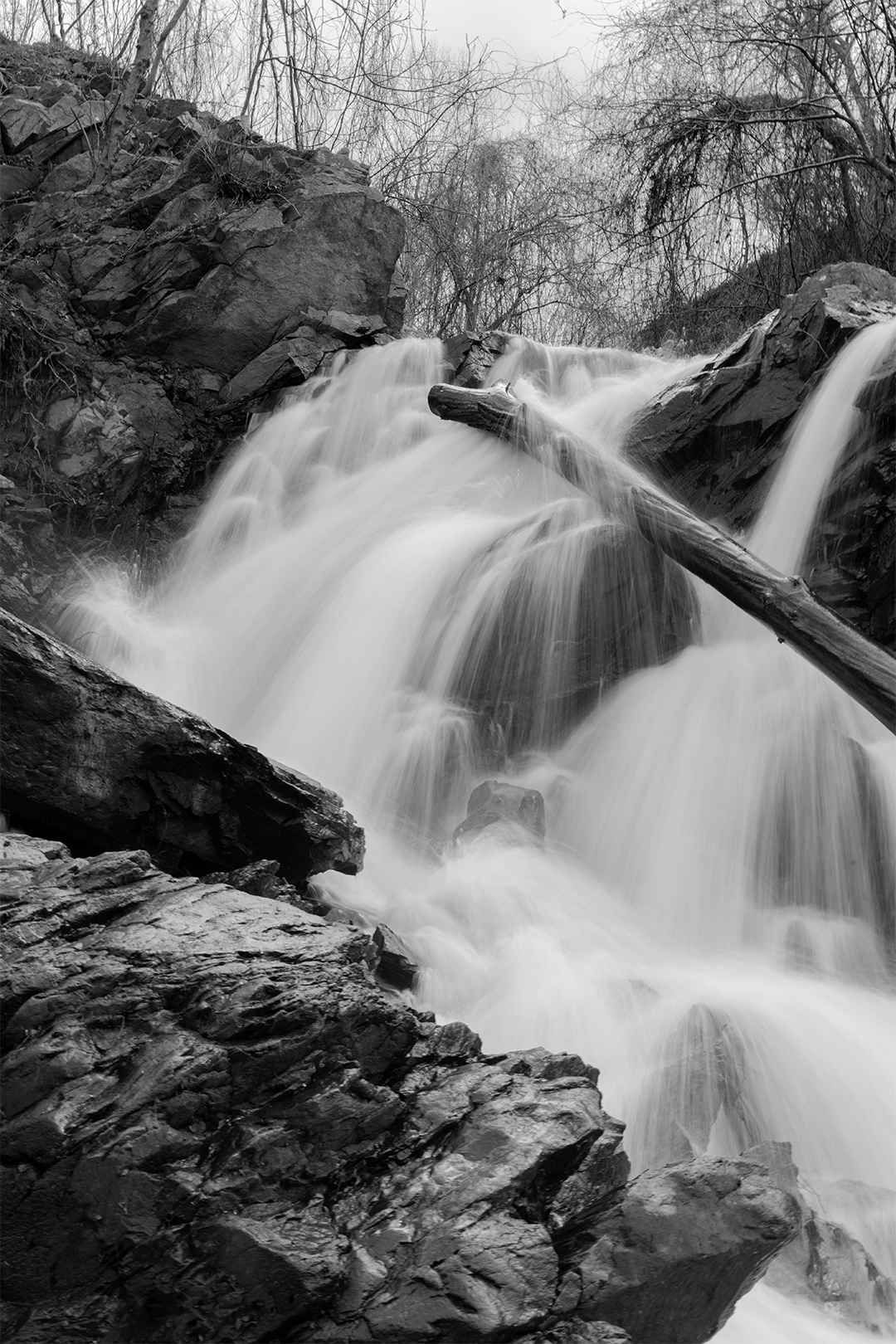 A Stunning Waterfall in Nature's Embrace