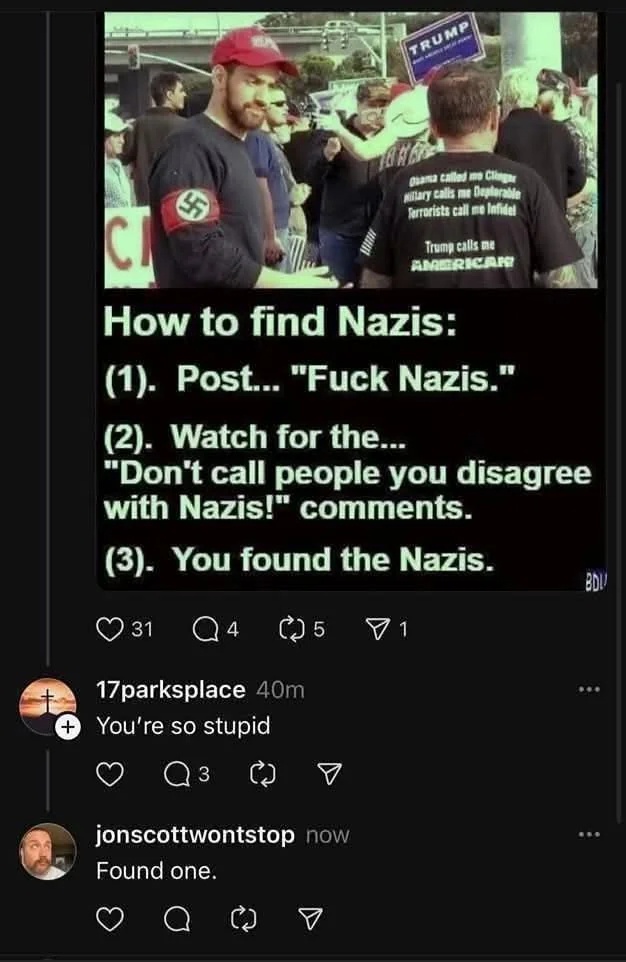 Finding Nazis 101: A Beginner's Guide