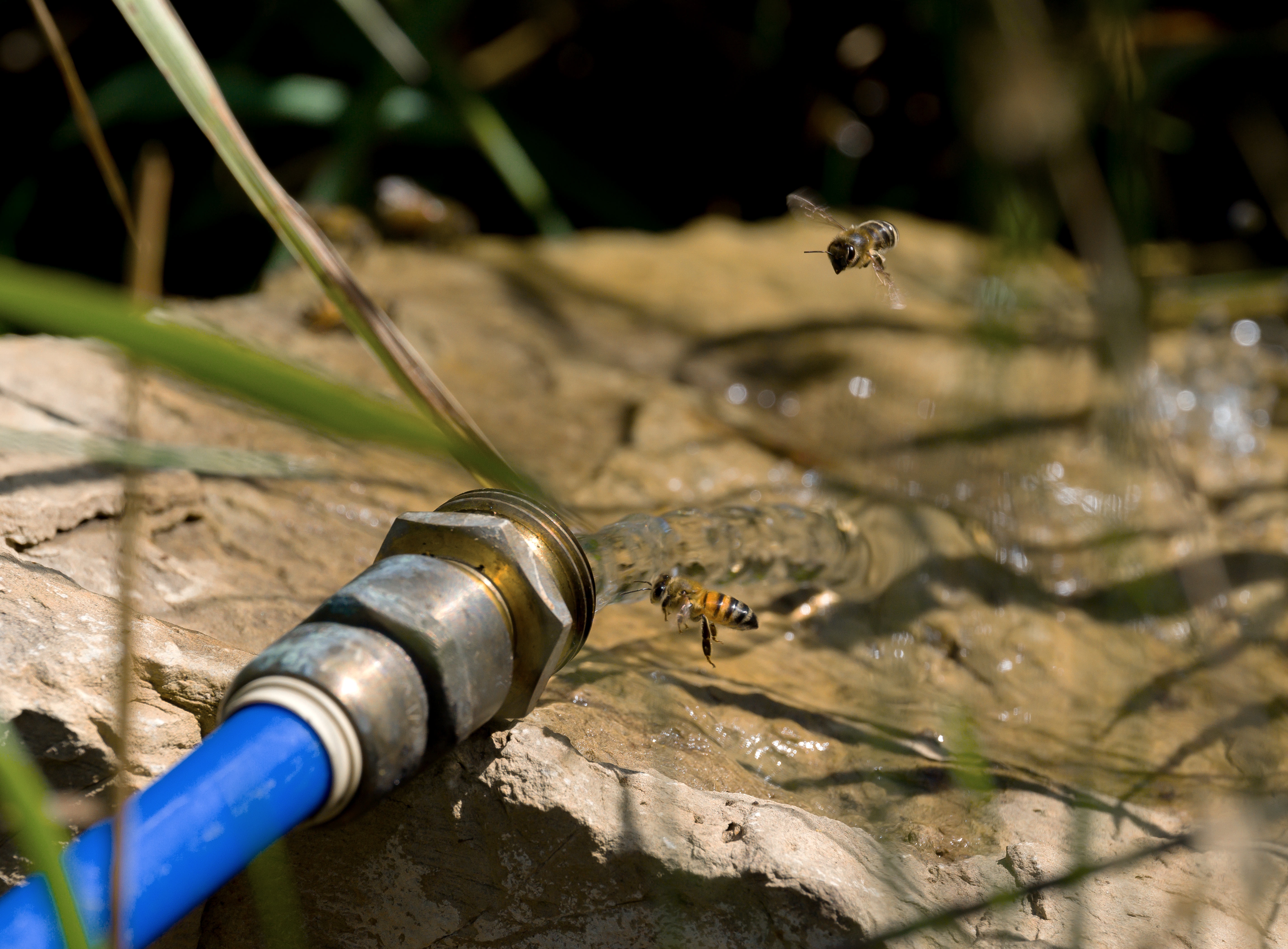 Should We Take the Plunge and Drink from the Hose?