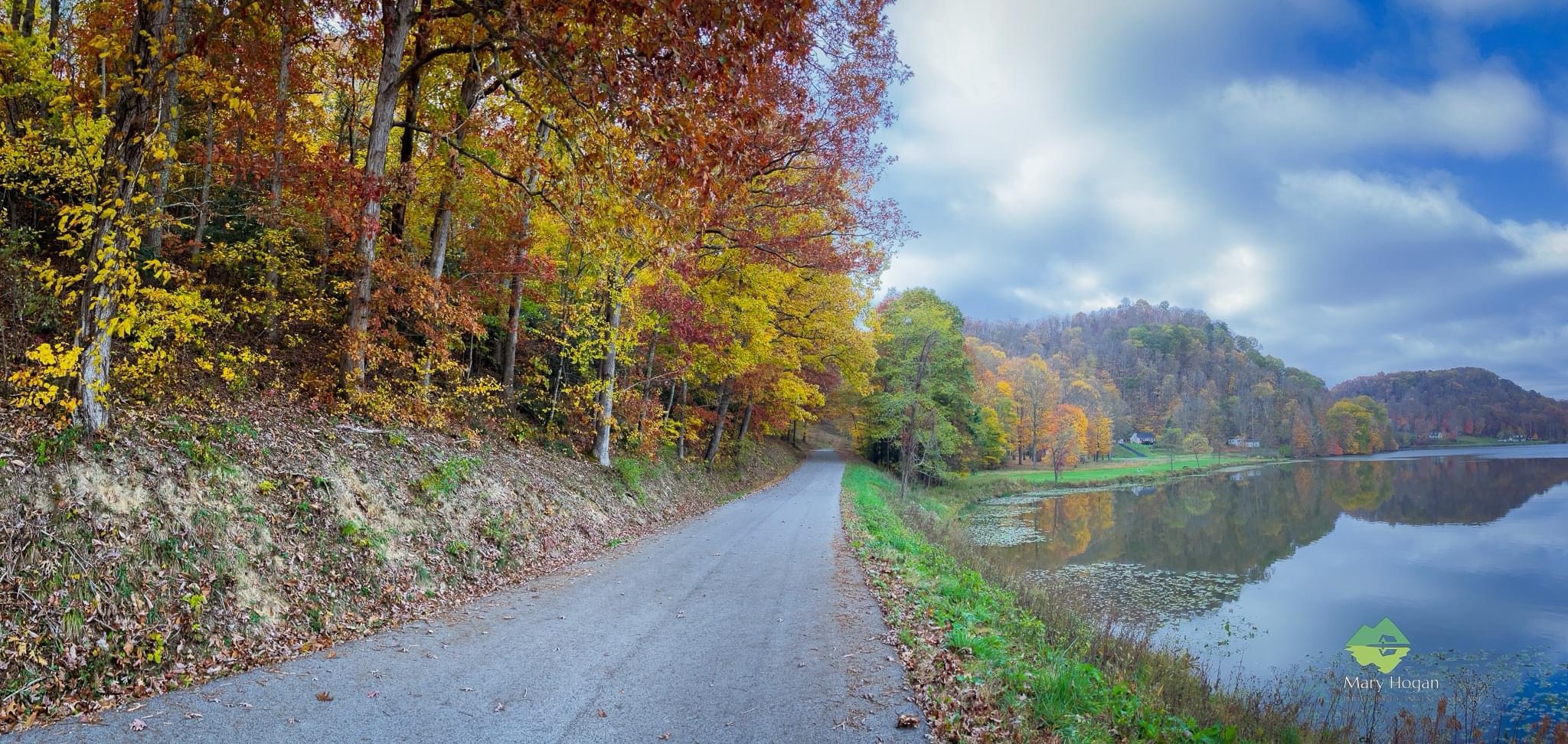 The Beauty of Autumn: Nature's Colorful Transformation