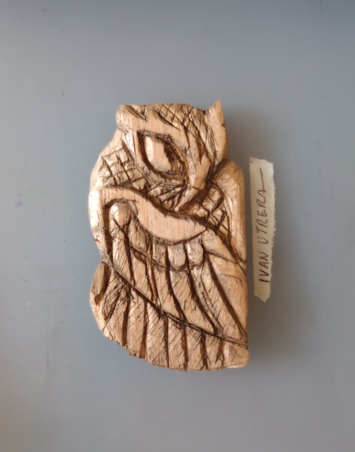 The Enigmatic Owl: Nature's Wise Guardian