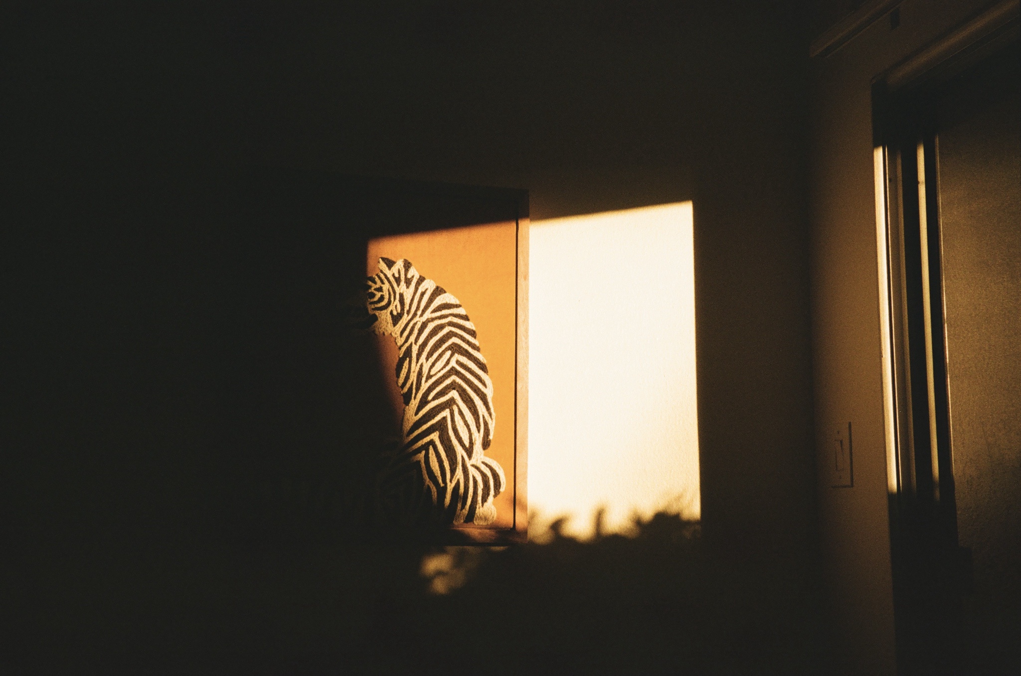 Home Sweet Home: 35mm Film Captured Here