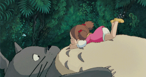 Embrace the Magic of Totoro