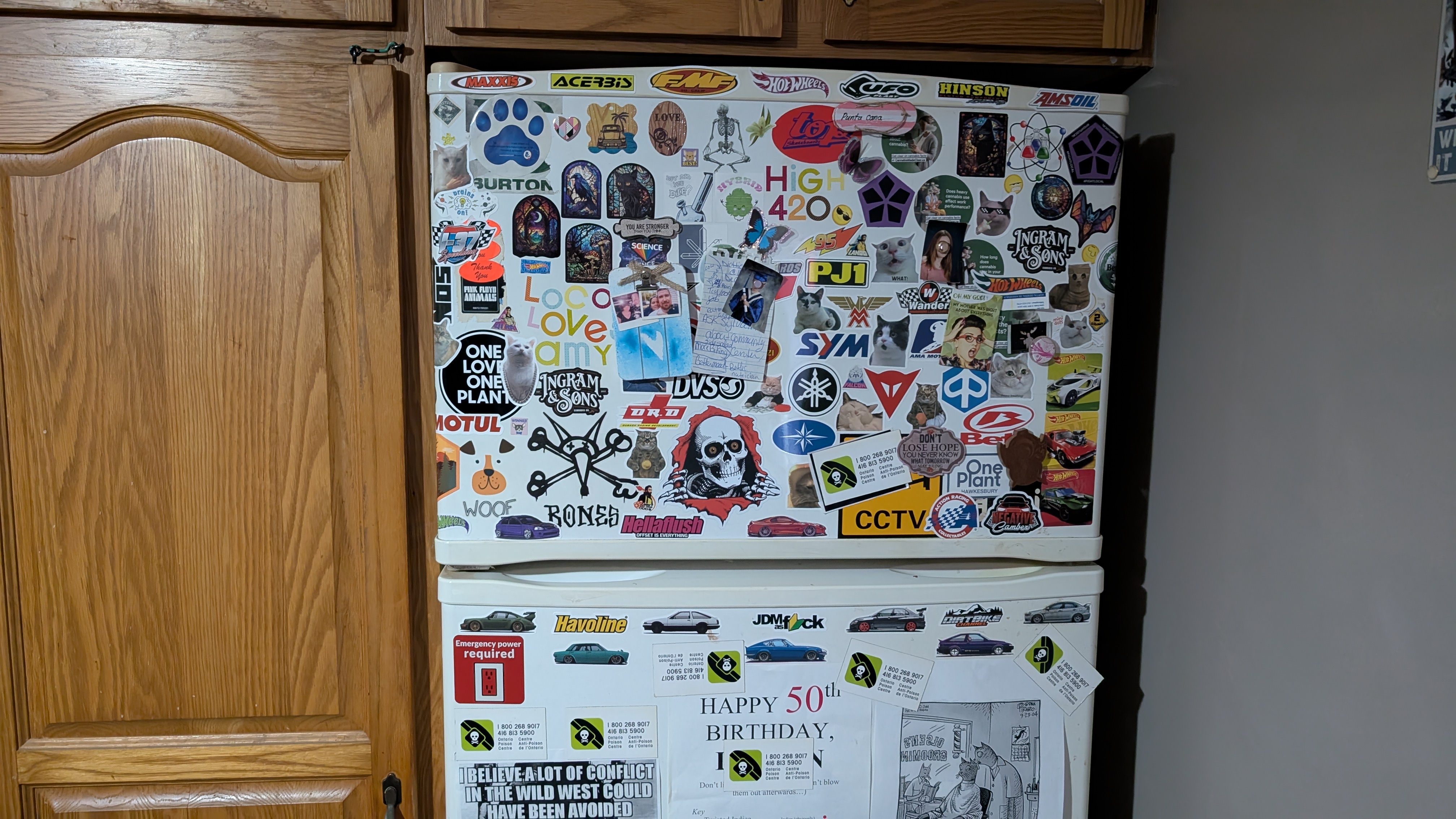 A Showcase of Unique Fridge Collections