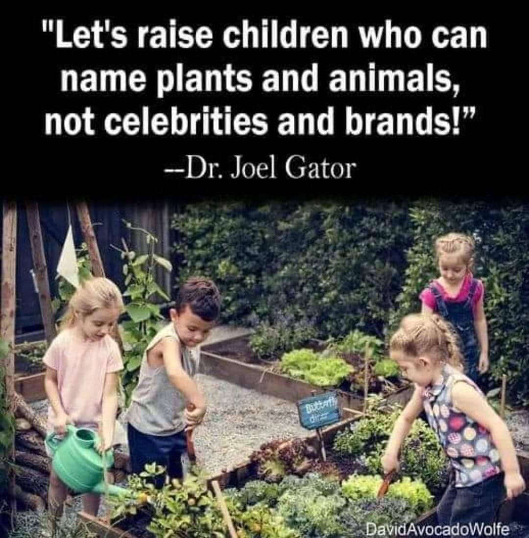 Absolutely, I couldn't agree more!