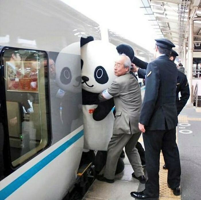 Now Boarding: Your Friendly Panda
