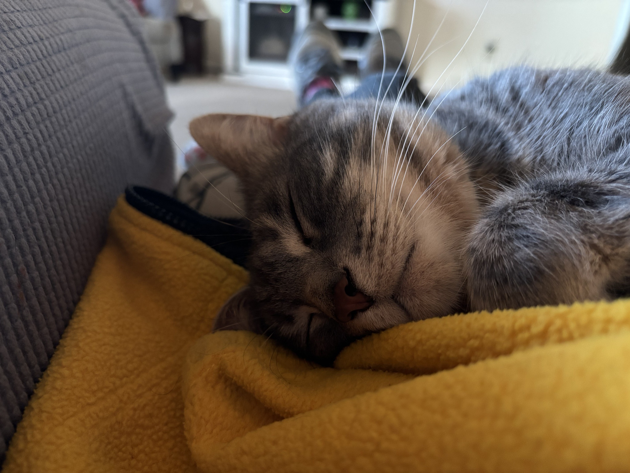 Concerned for My Sweet Boy: A Parent's Worry