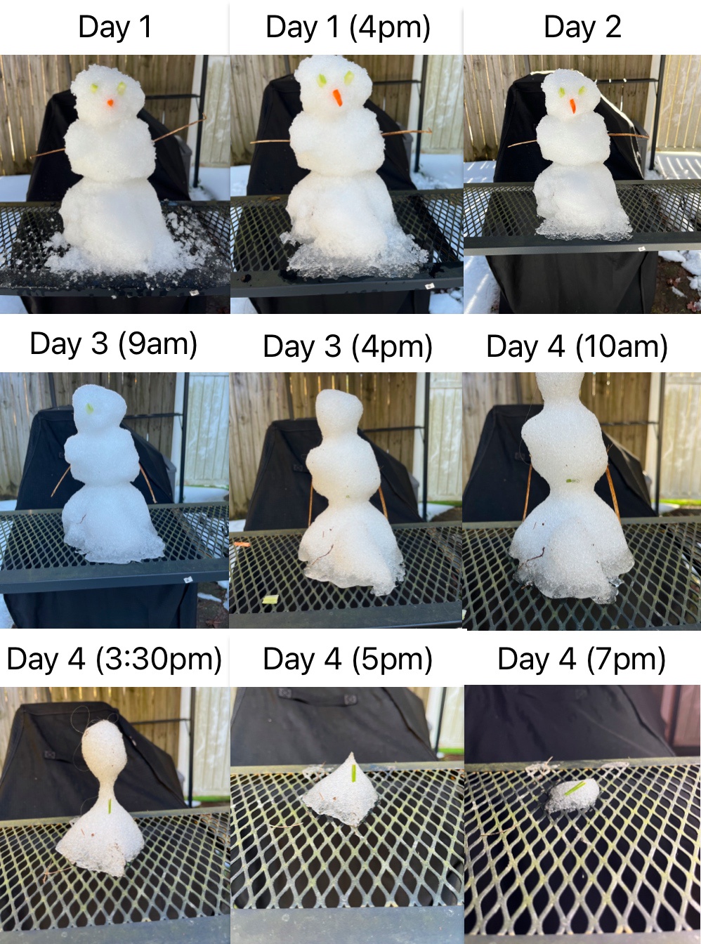 The gradual decline of my snowman as the days go by.