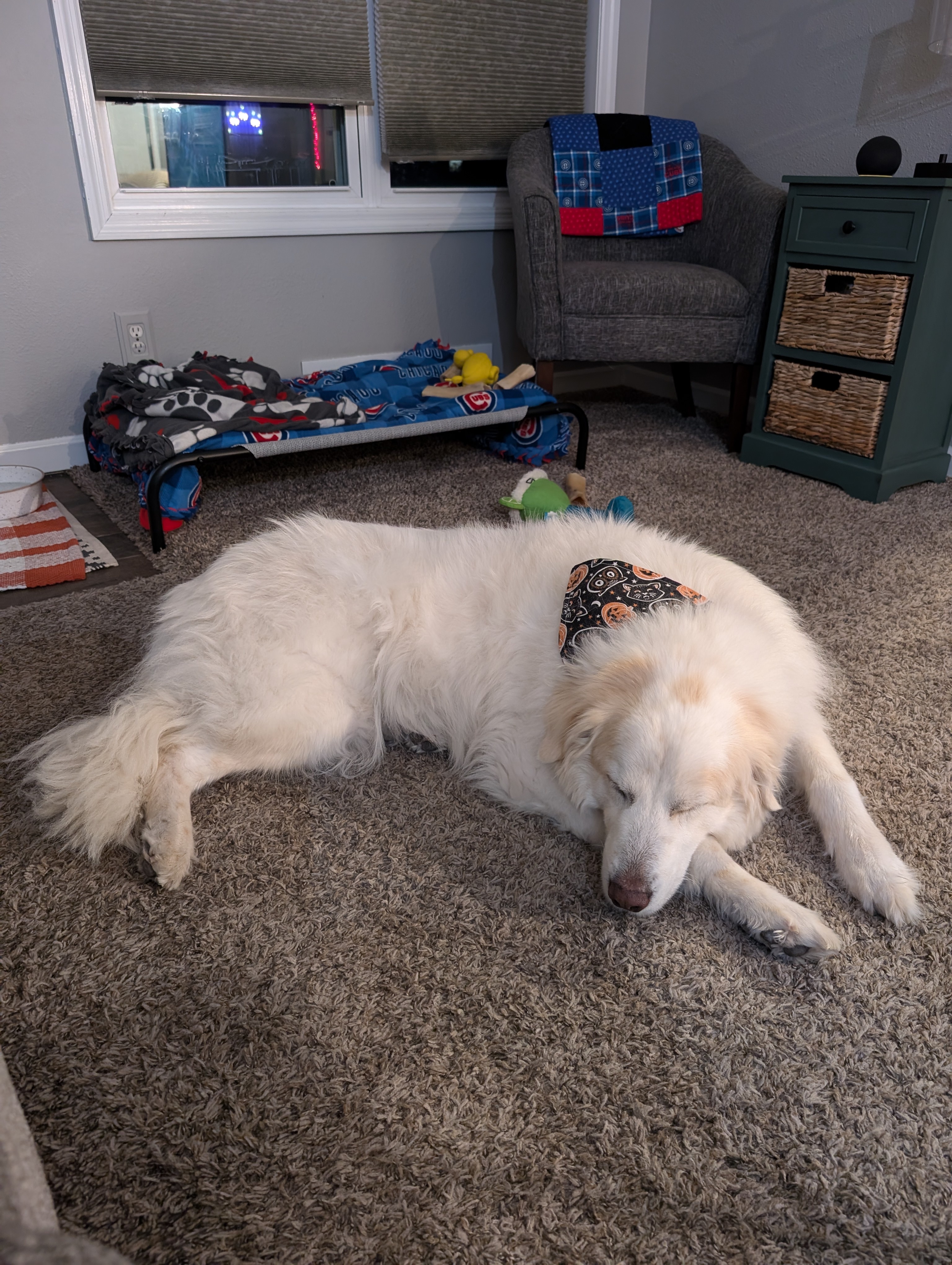 Winter Chronicles: Day 764 of the Frosty Saga