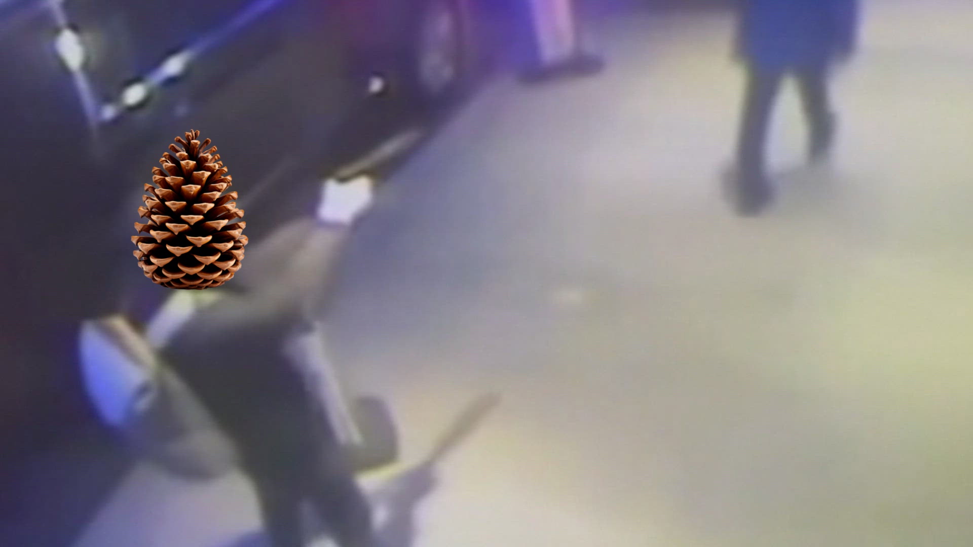 Pinecone: The Unsung Hero of the Working Class