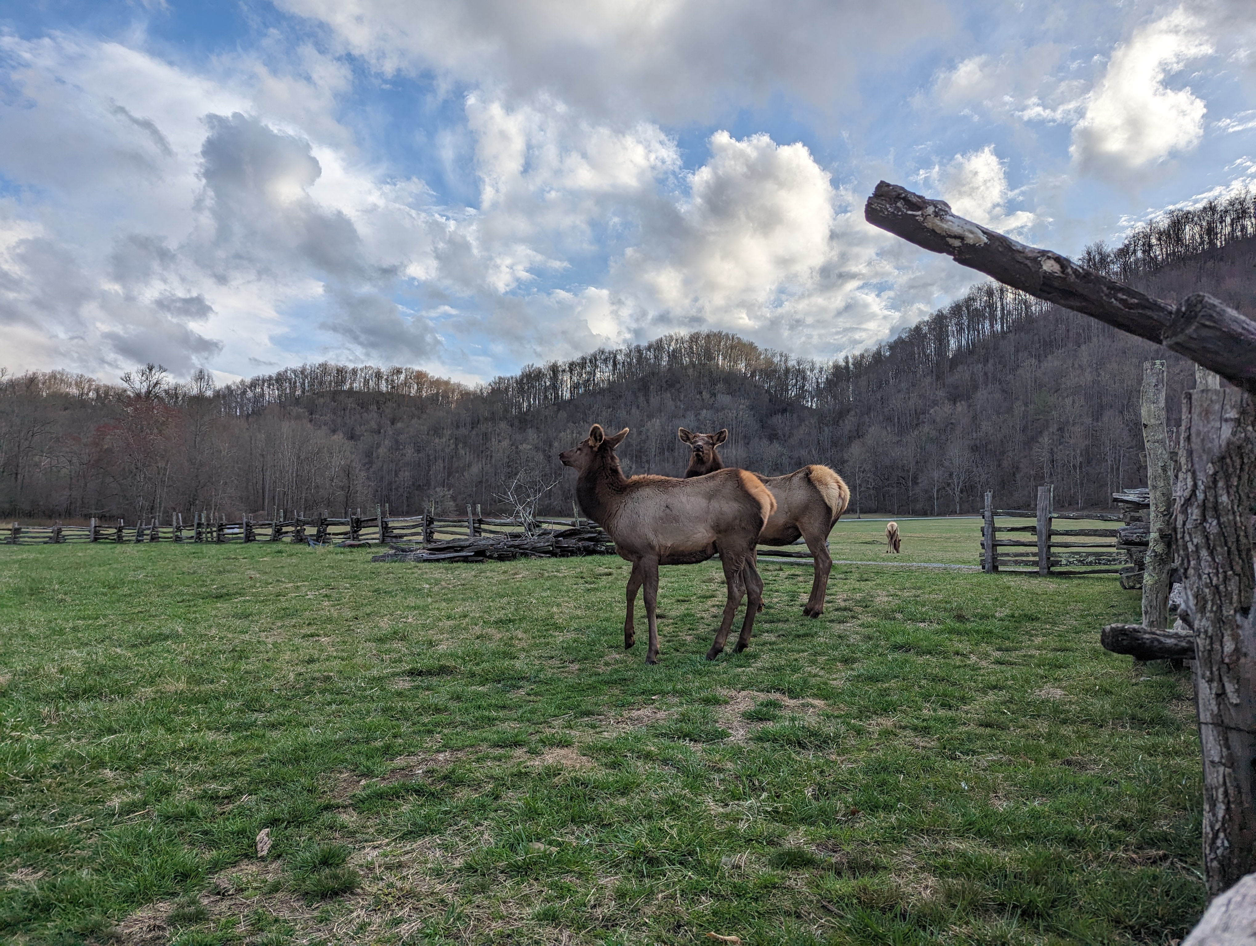 Comparing Photos: SLR vs Smartphone Showdown