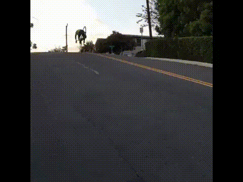 Cruising in Style