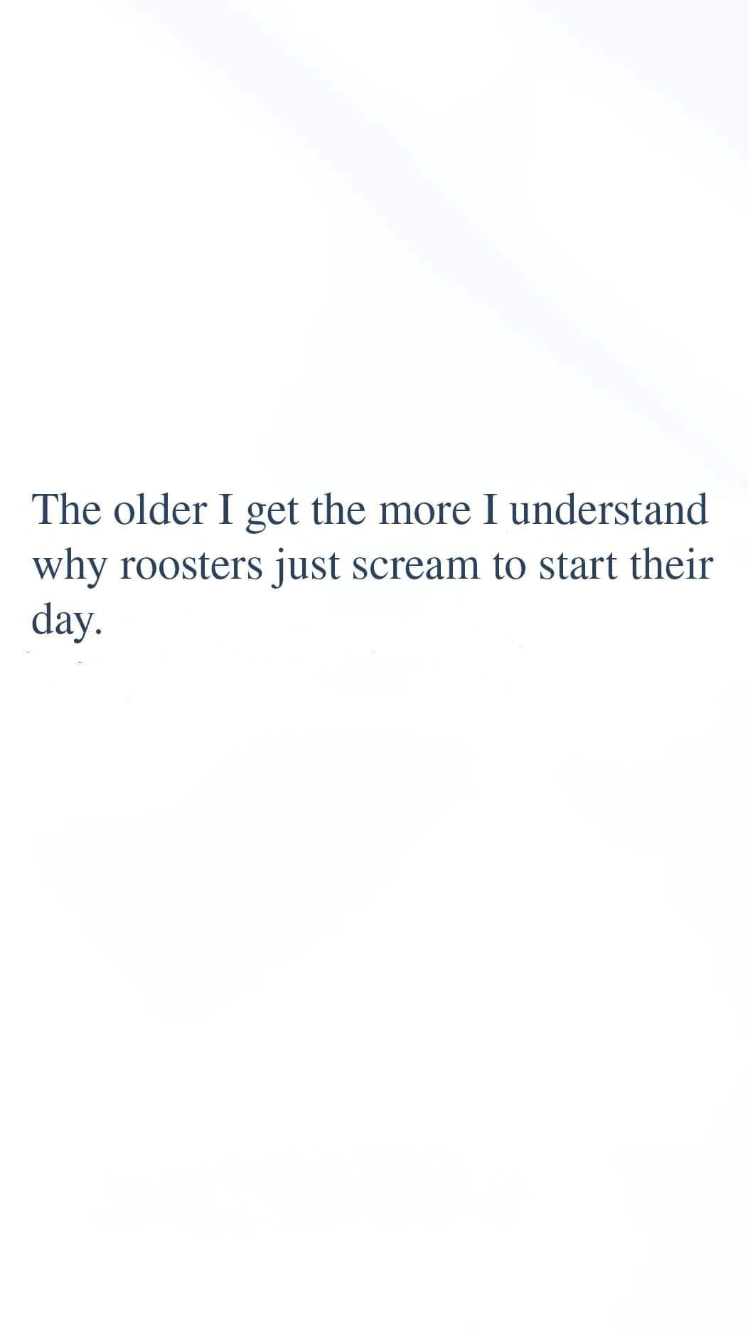 Laughter Overload: Haha Moments