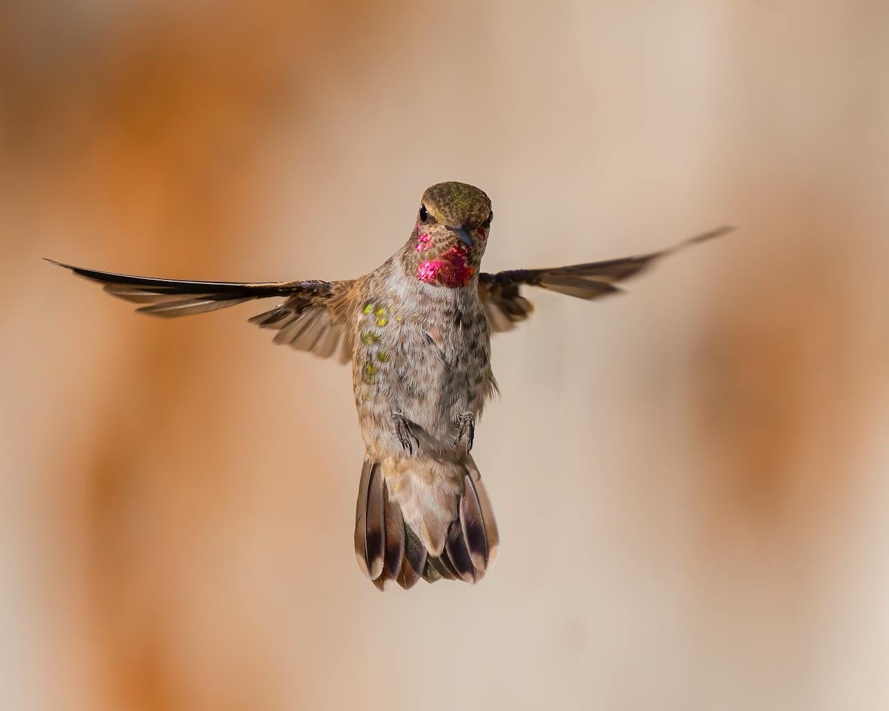 Capturing the Moment: Look Right at the Camera