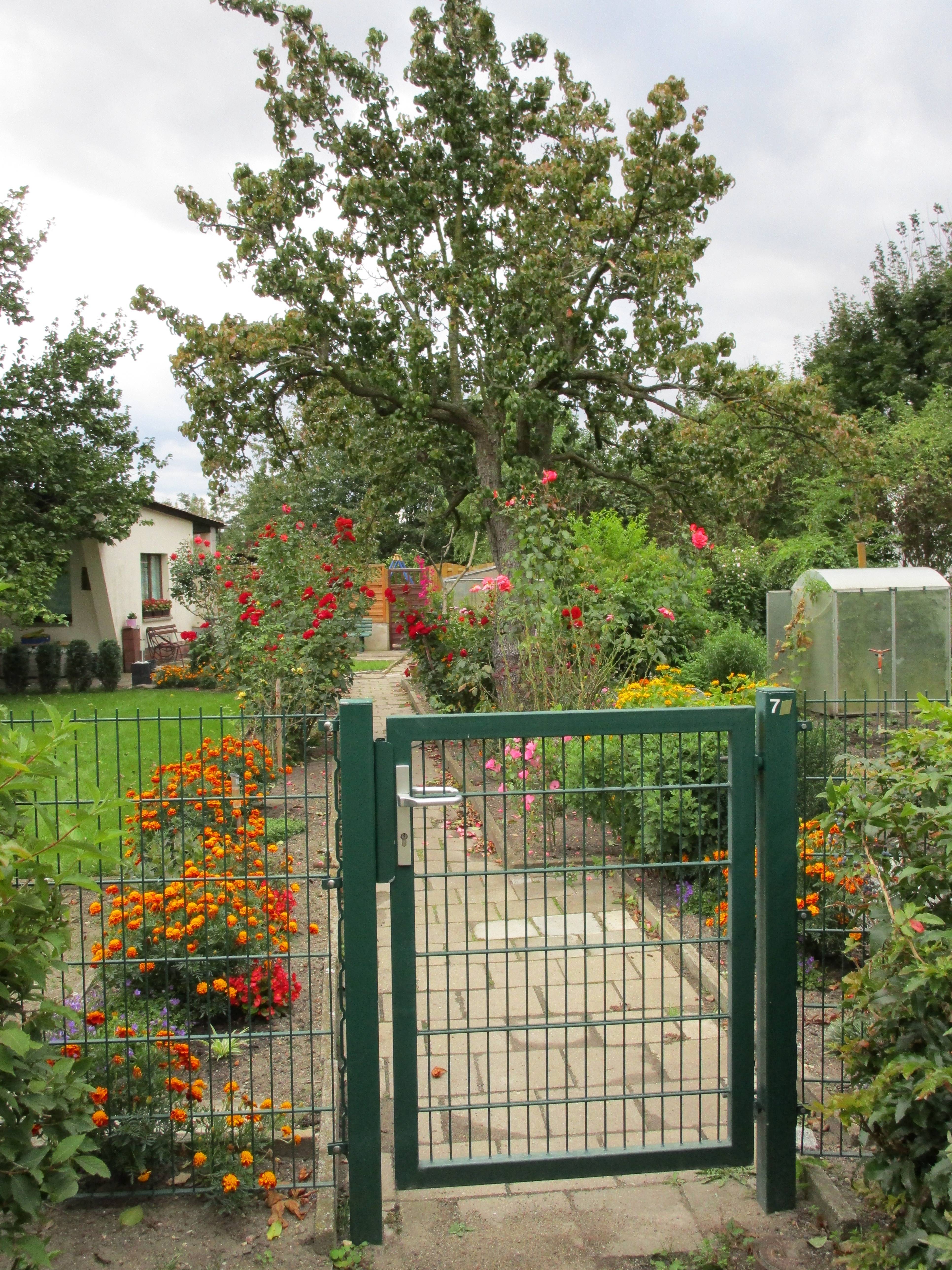 The Beauty of a Pristine and Tidy Garden