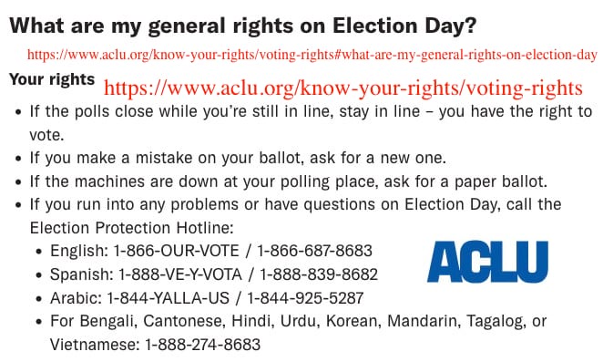 Navigating the Chaos of Election Day