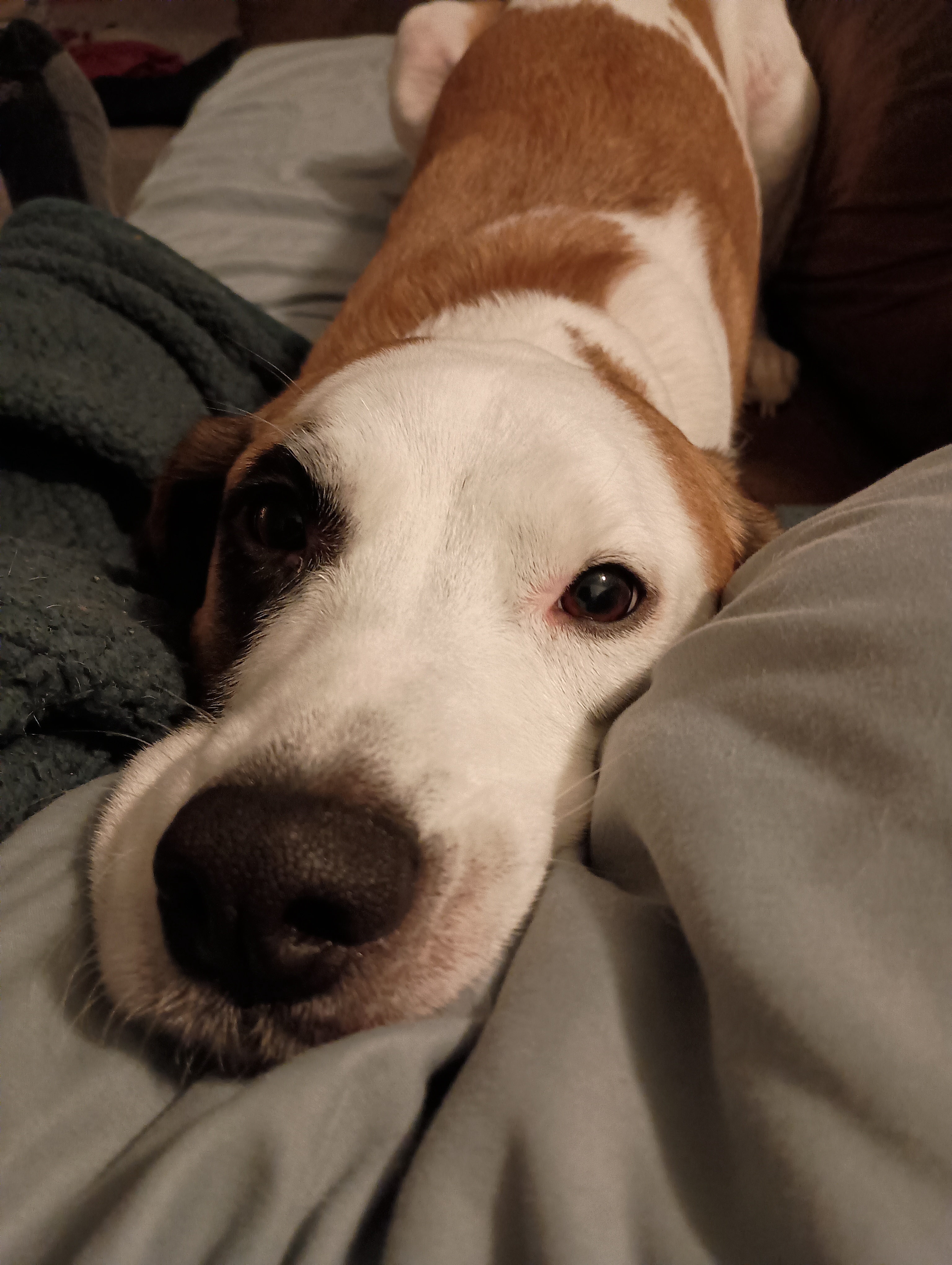 From a Mattress on the Floor to My Own Apartment: Ari's Journey