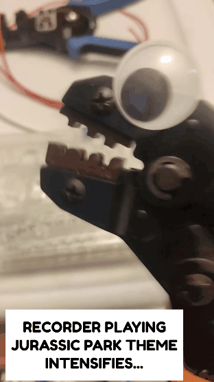 Googly Eyes: The Ultimate Game Changer for Everything
