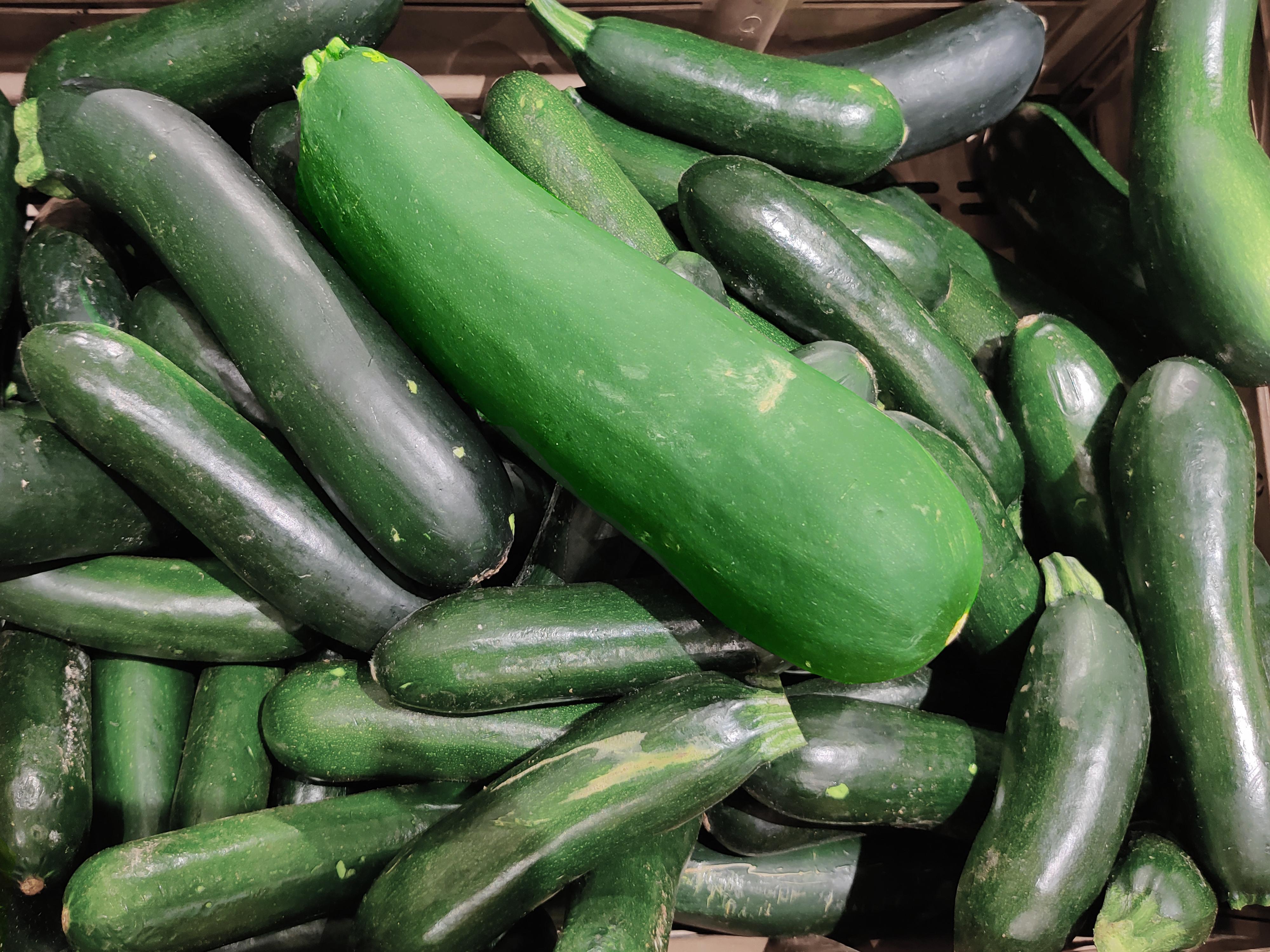 The Giant Zucchini Reigns Supreme!