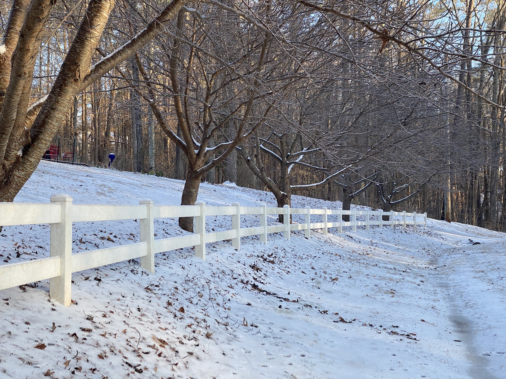 A Glimpse of This Morning in Durham