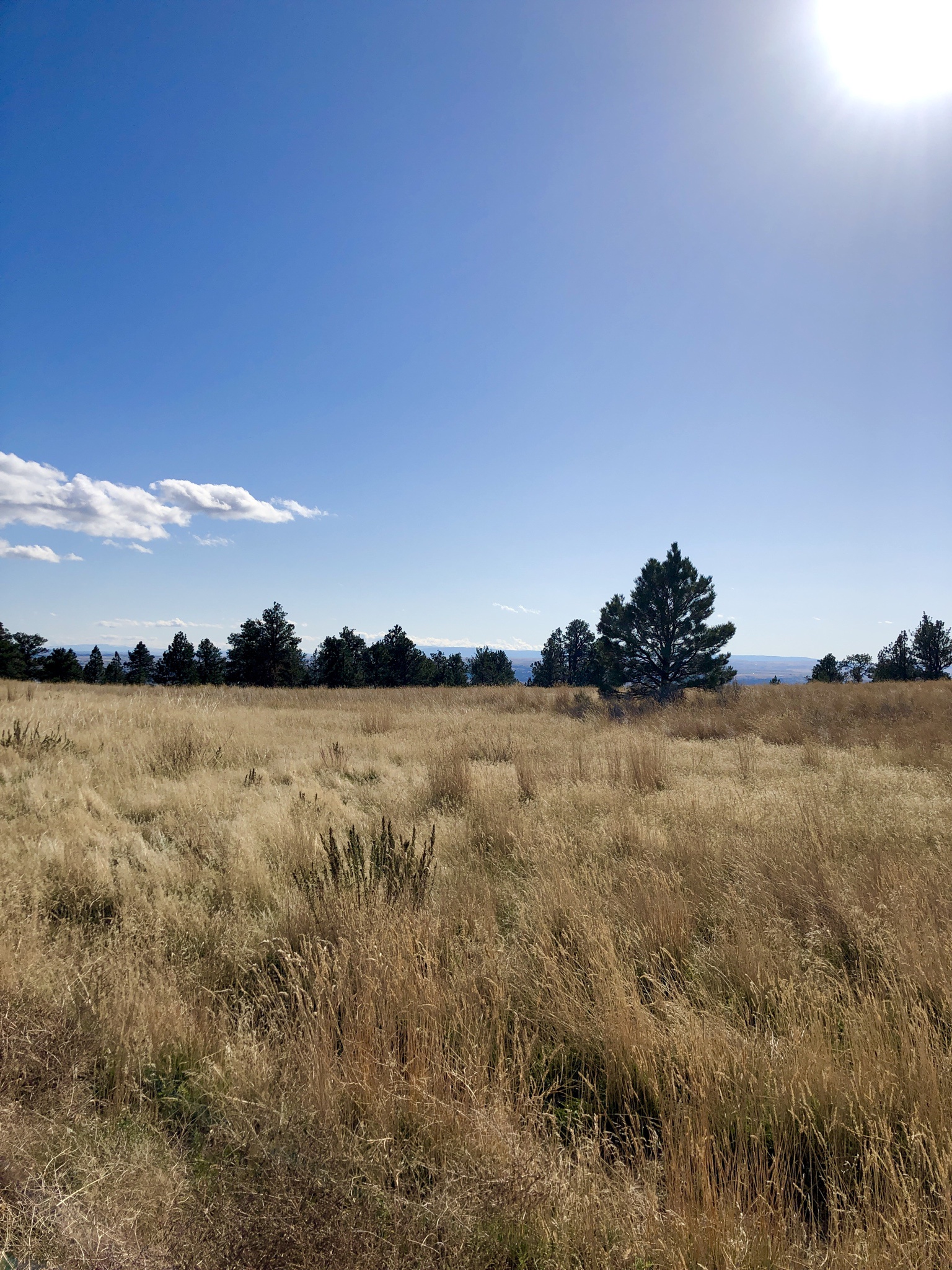 Today's Scenic Stroll on the Sky Trail in Billings