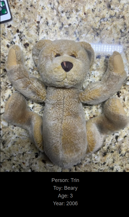 Day 765: Join Me on My Journey at www.saidtheskinhorse.com - Celebrating Childhood Toys with Beary, Our Newest Friend!