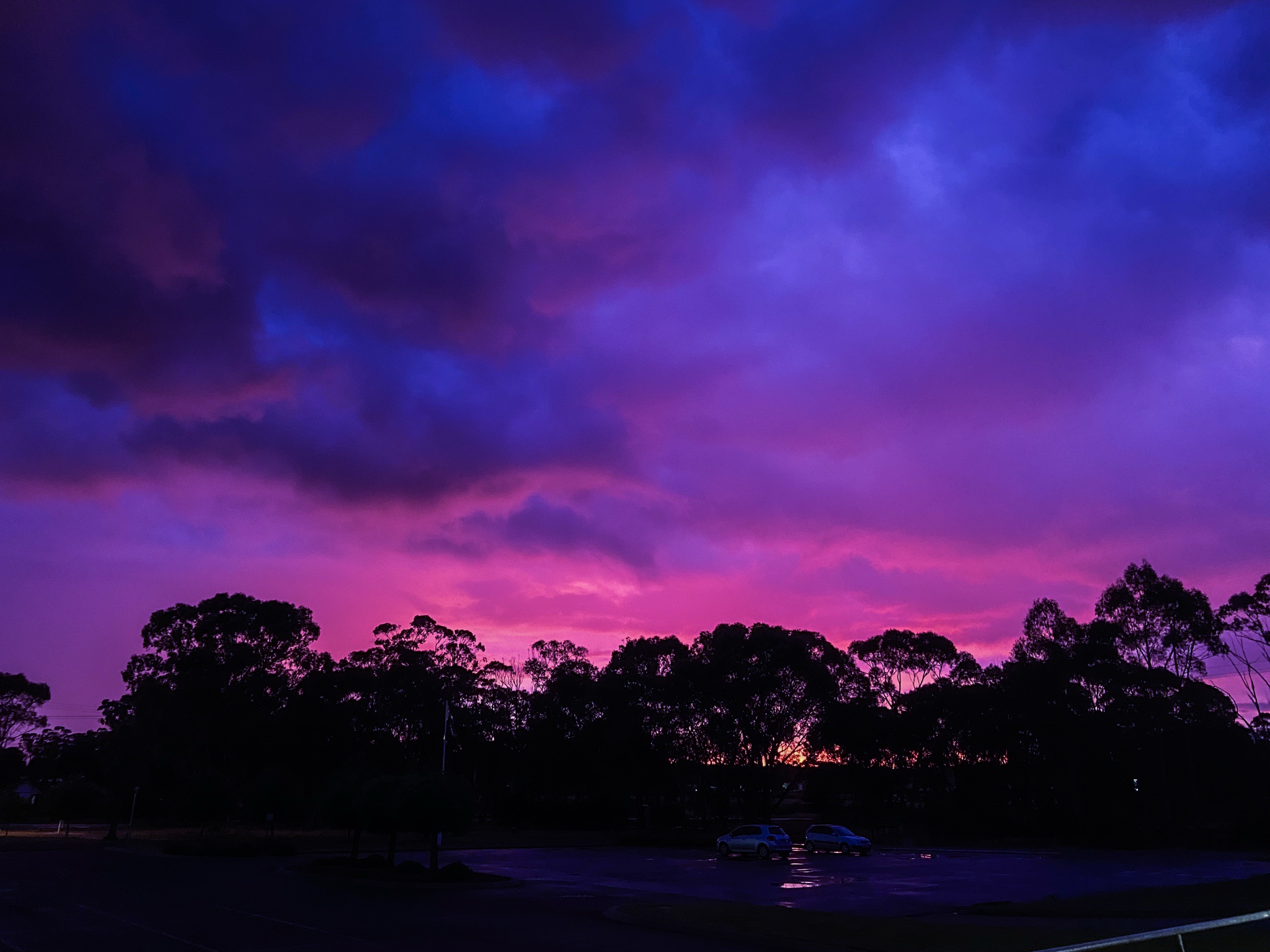 A Stunning Display of Purple and Pink Skies