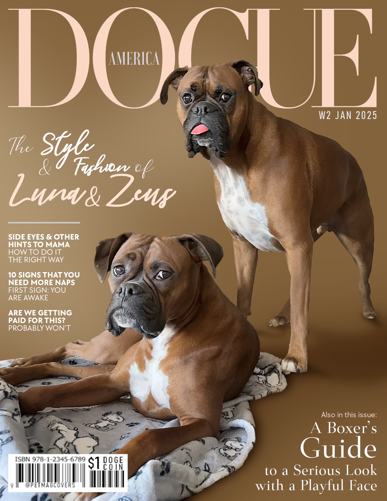 A Boxer's Guide to Mastering the Serious Look - DOGUE Magazine