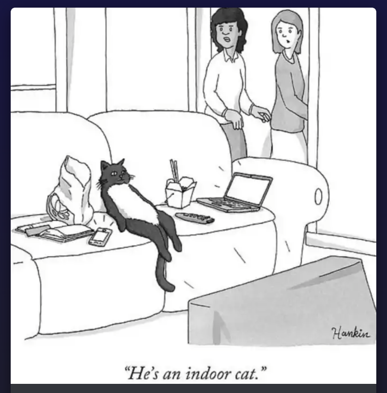 Pre-Tariff Phone Dump: A Feline Showcase