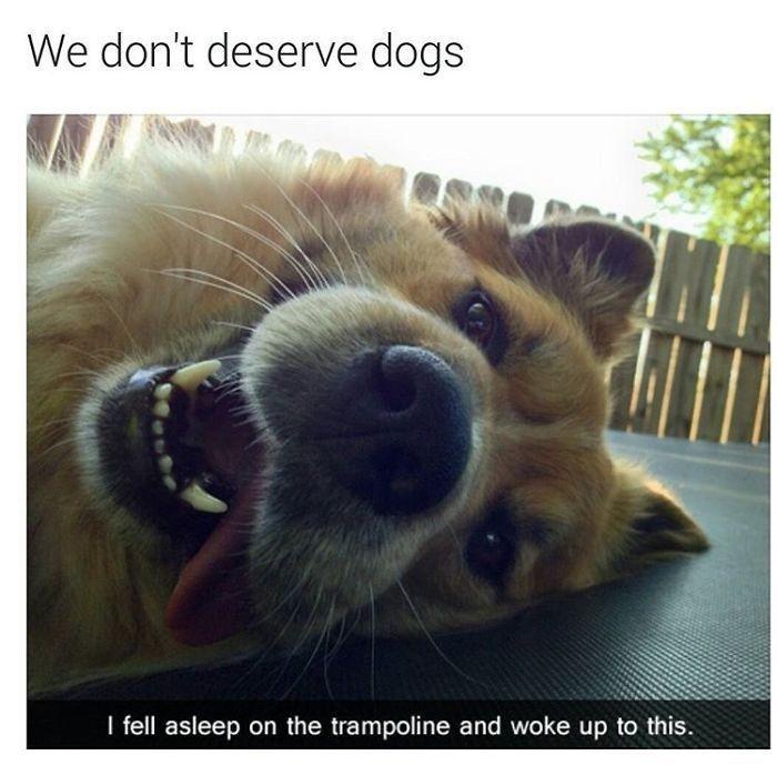 Greetings, My Friend!