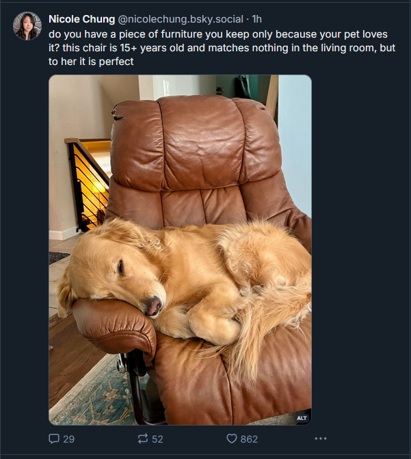 Show us the furniture your pet has taken over!