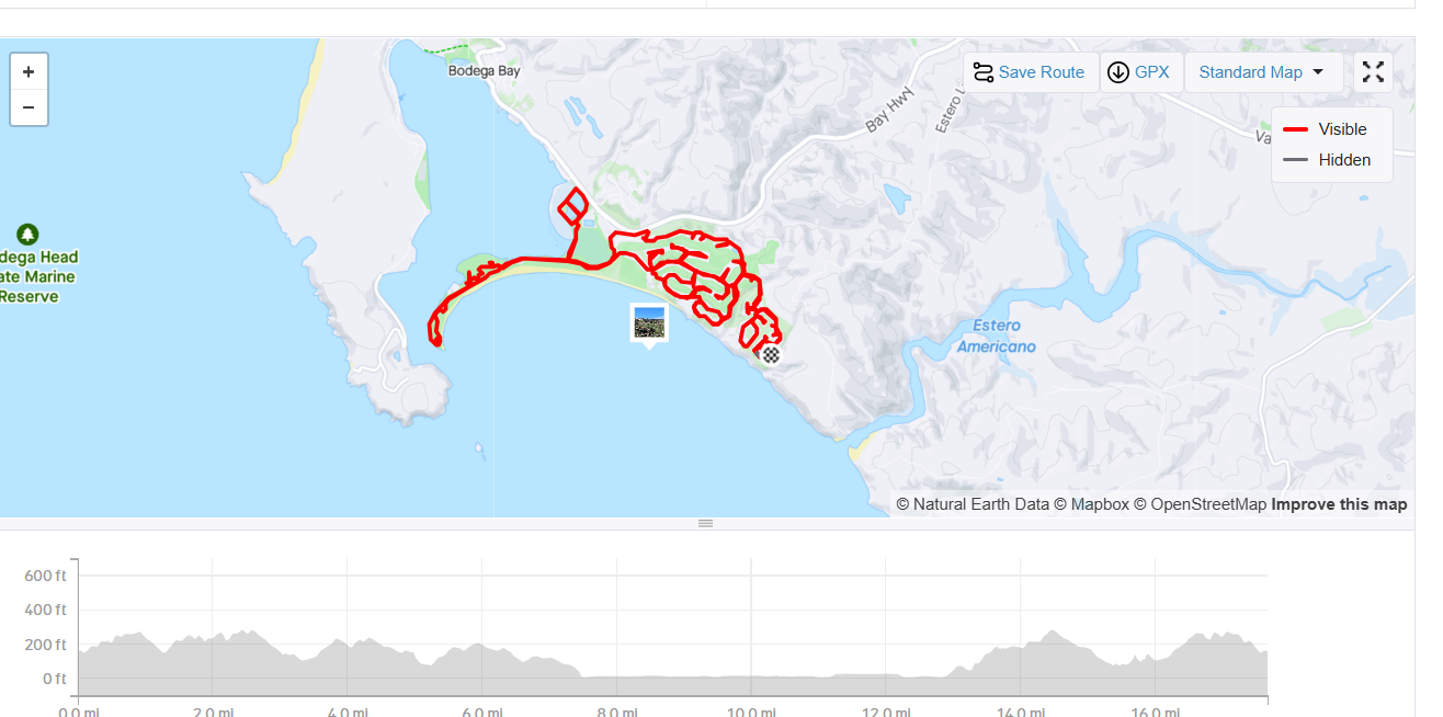 Achilles' physical therapy journey plus some stunning beach shots!