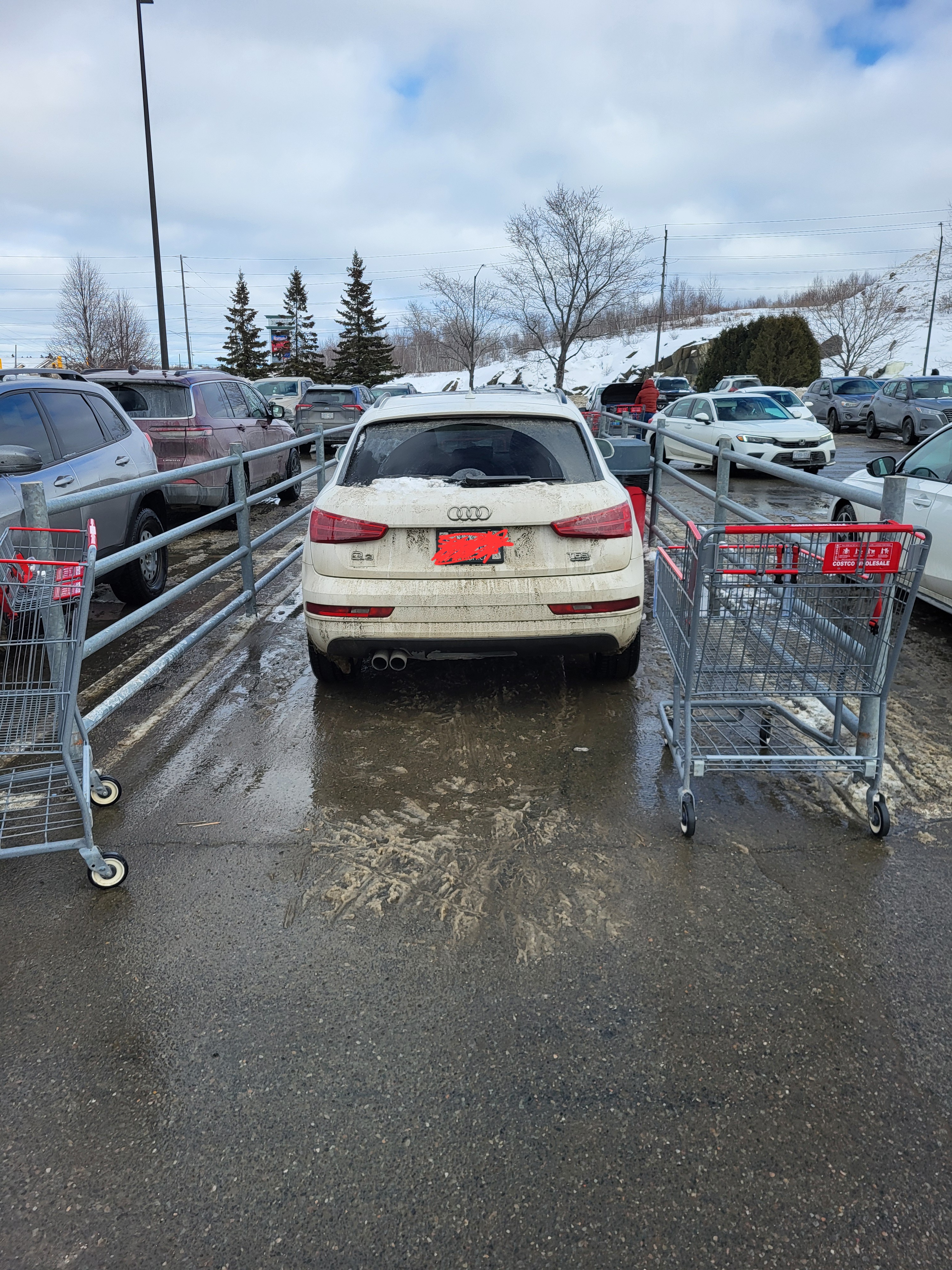 When Parking Goes Wrong: Blocking in the Cart Corral Offender