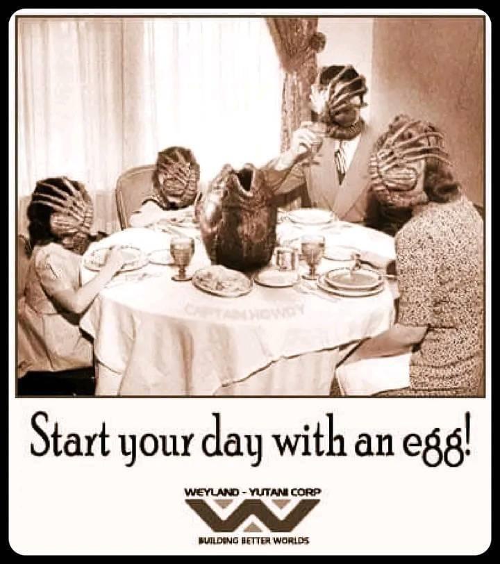 A Protein Paradise Awaits!