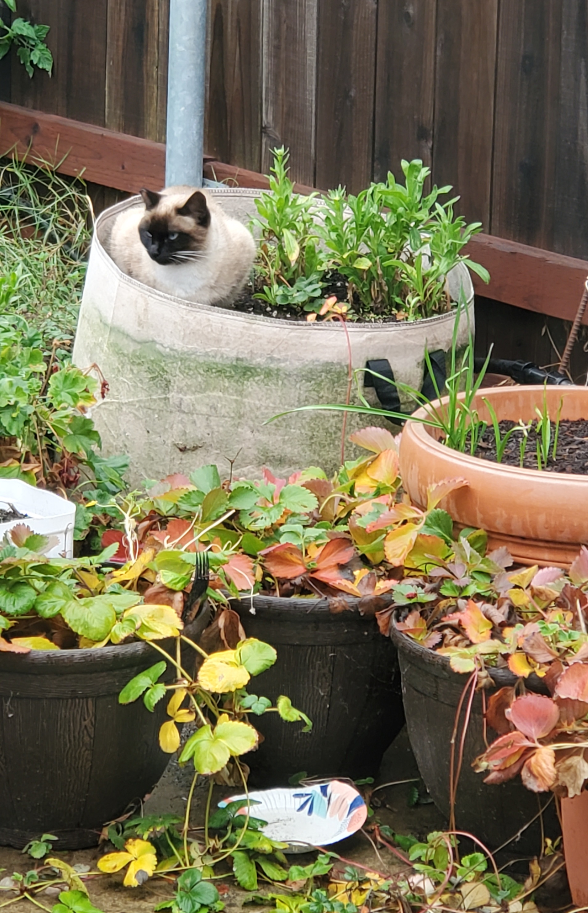 Harvesting Success: A Bountiful Crop This Year