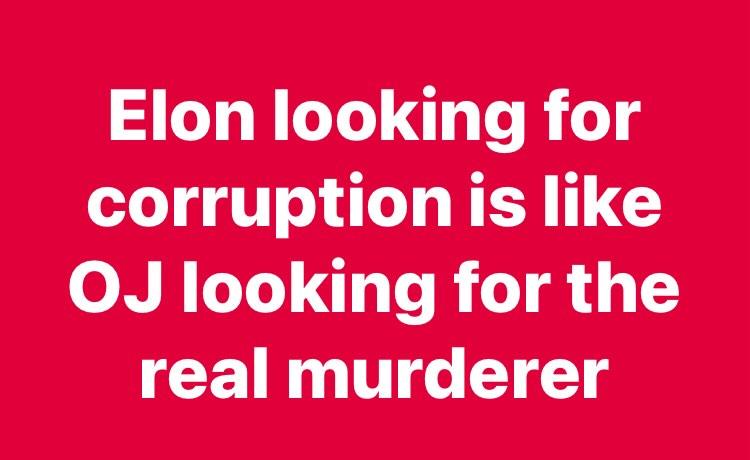 Elon Searching for Corruption is Like OJ Hunting for the Real Killer